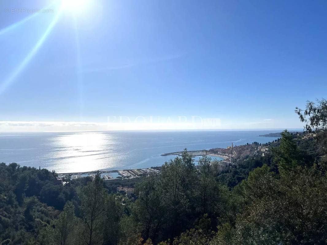 Terrain à MENTON