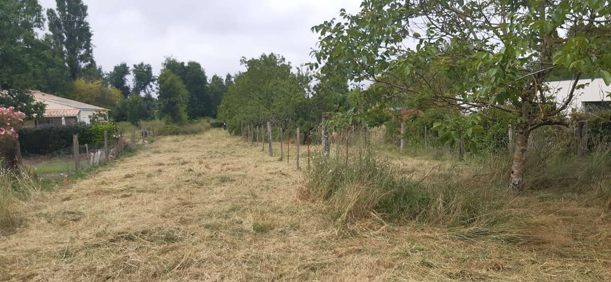 Terrain à SAINT-CHRISTOPHE