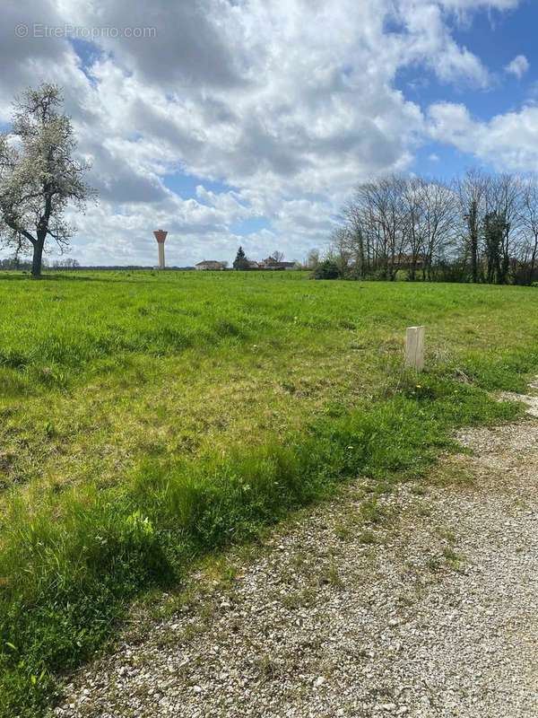 Terrain à MONTIER-EN-DER