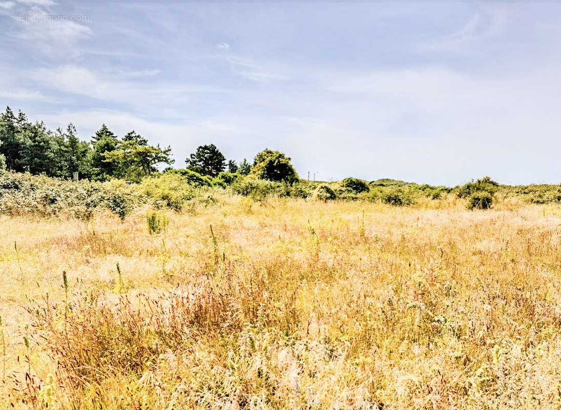 Terrain à CAYEUX-SUR-MER