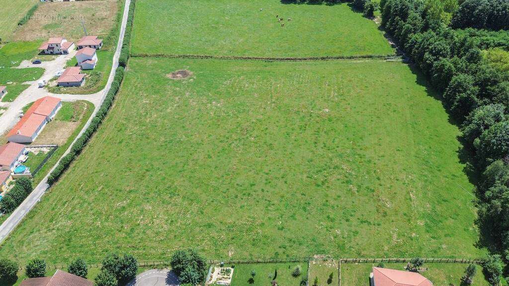 Terrain à DOMPIERRE-SUR-VEYLE