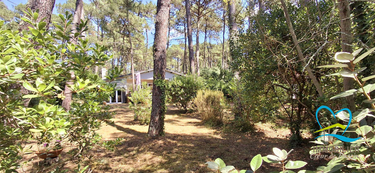 Maison à LEGE-CAP-FERRET