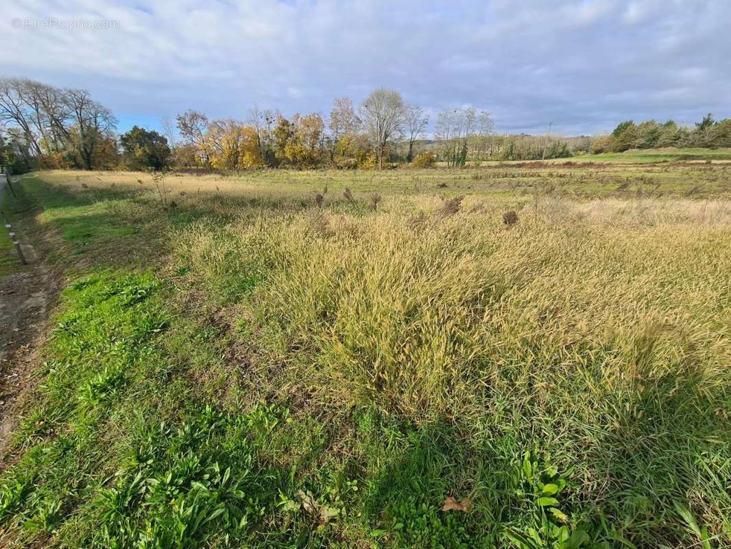 Terrain à RAMOUS