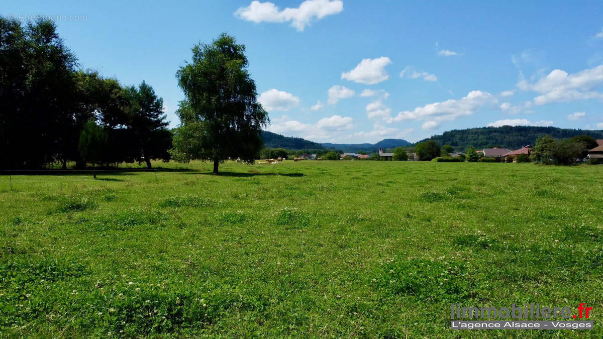 Terrain à SAINT-LEONARD