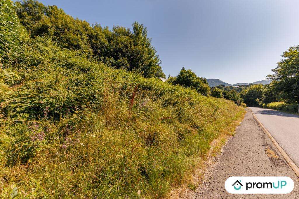 Terrain à MURAT-LE-QUAIRE