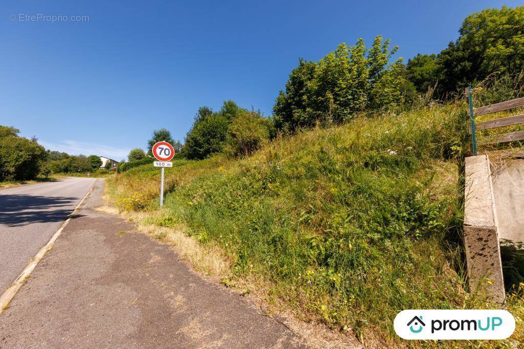 Terrain à MURAT-LE-QUAIRE