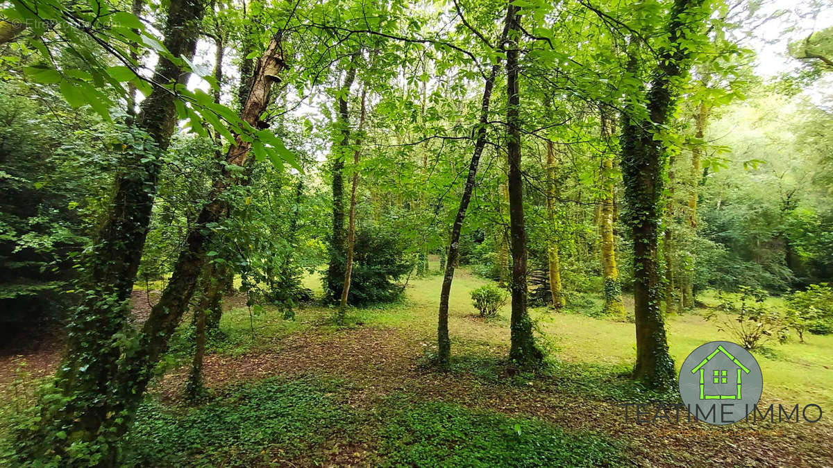 Terrain à QUIMPER