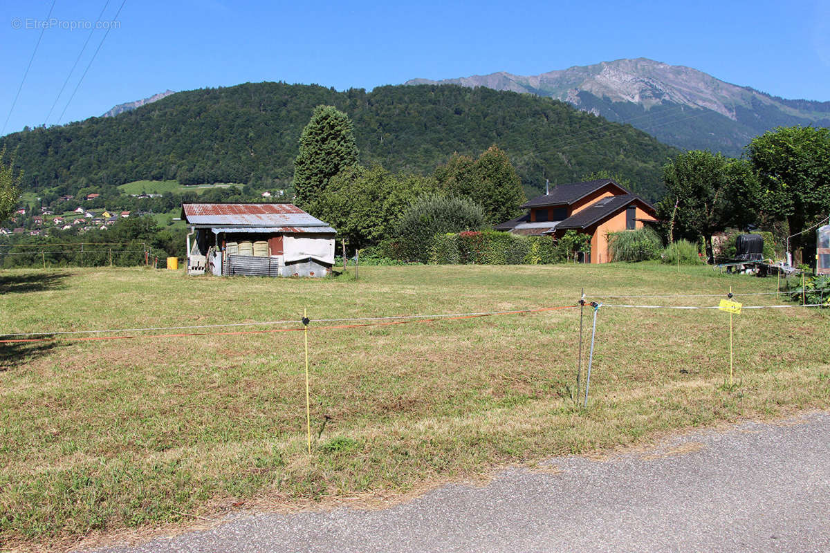 Terrain à CESARCHES