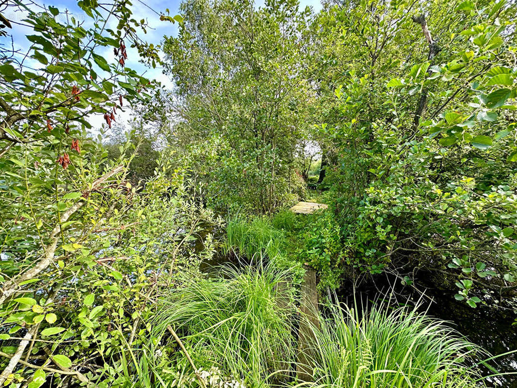 Terrain à FLAVY-LE-MARTEL