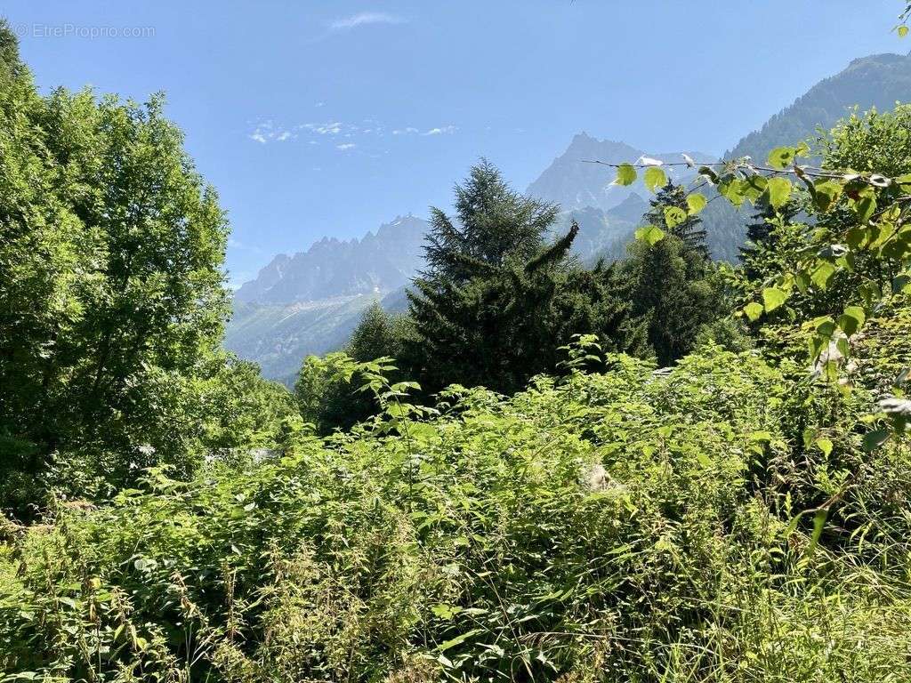 Terrain à LES HOUCHES