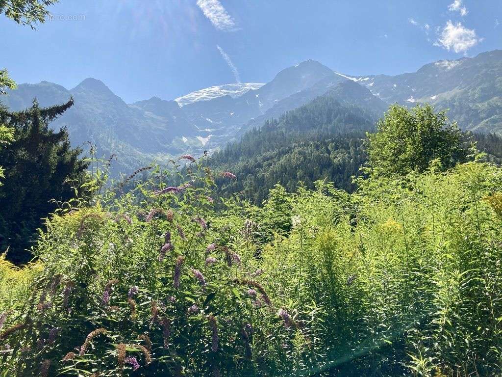 Terrain à LES HOUCHES