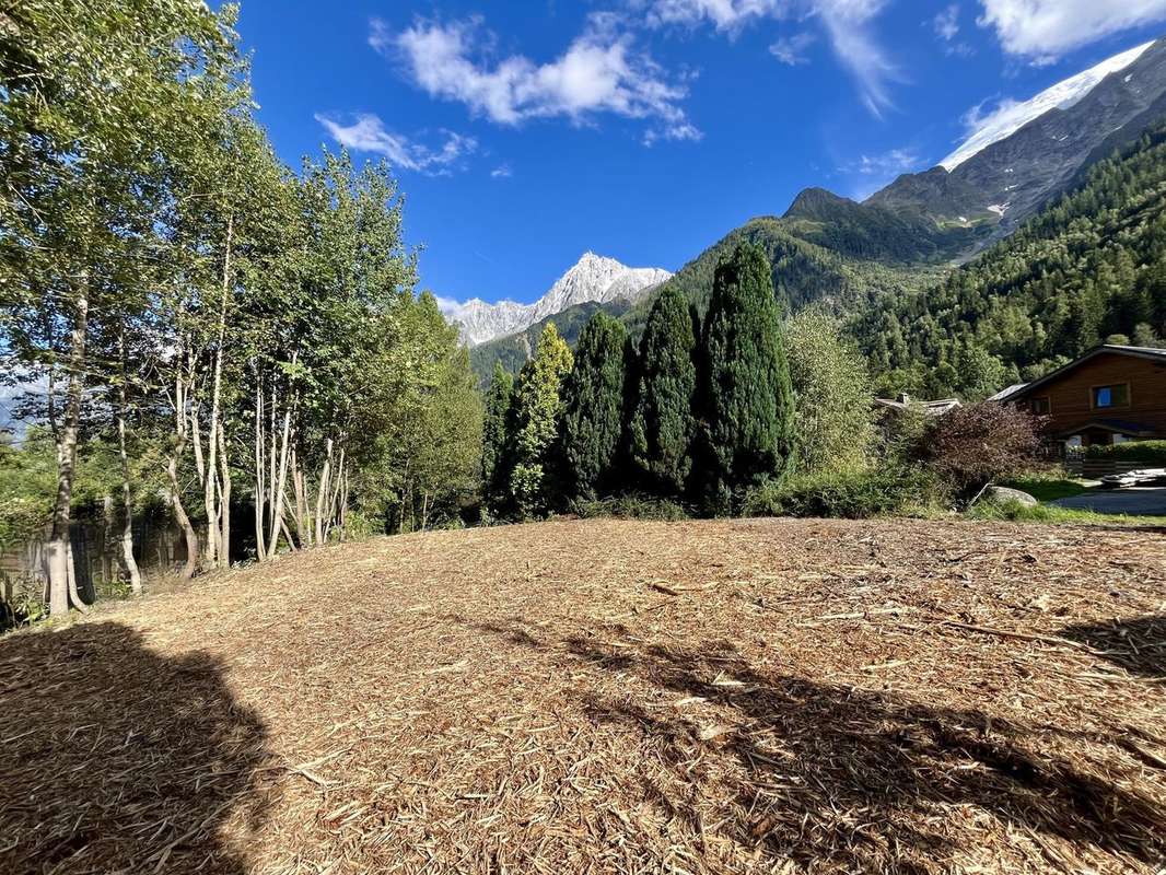 Terrain à LES HOUCHES