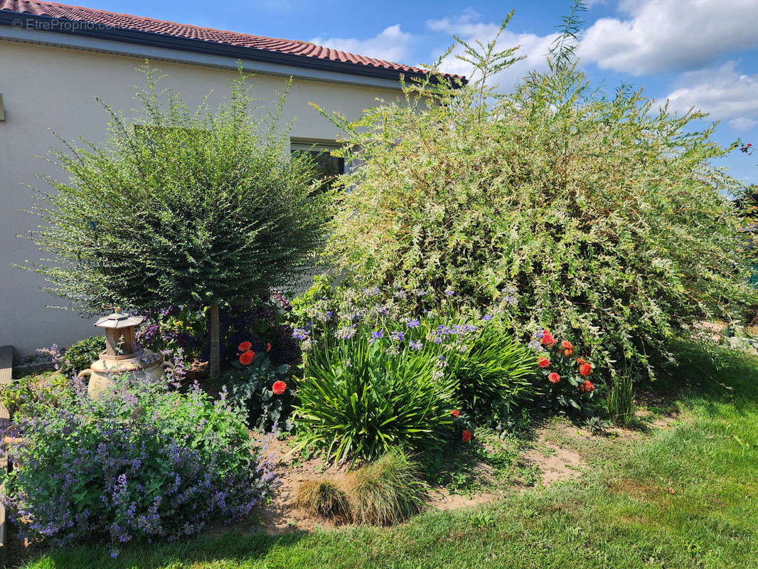 Maison à ROYERES