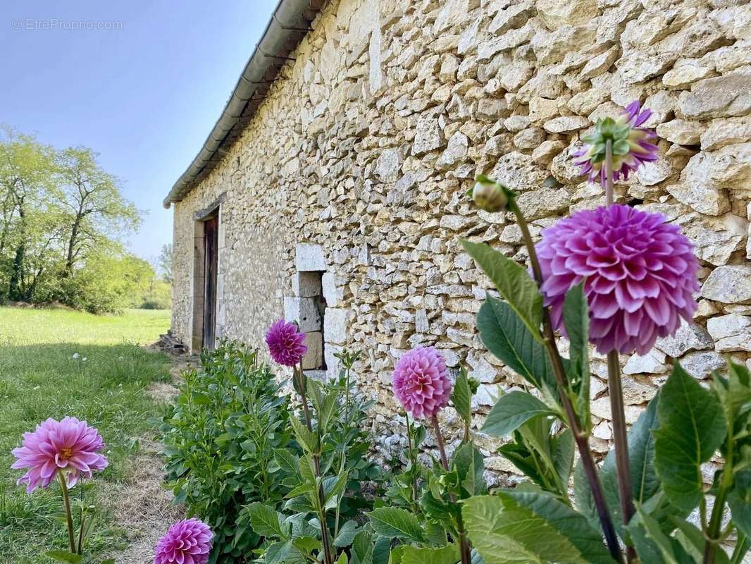 Maison à MONFLANQUIN