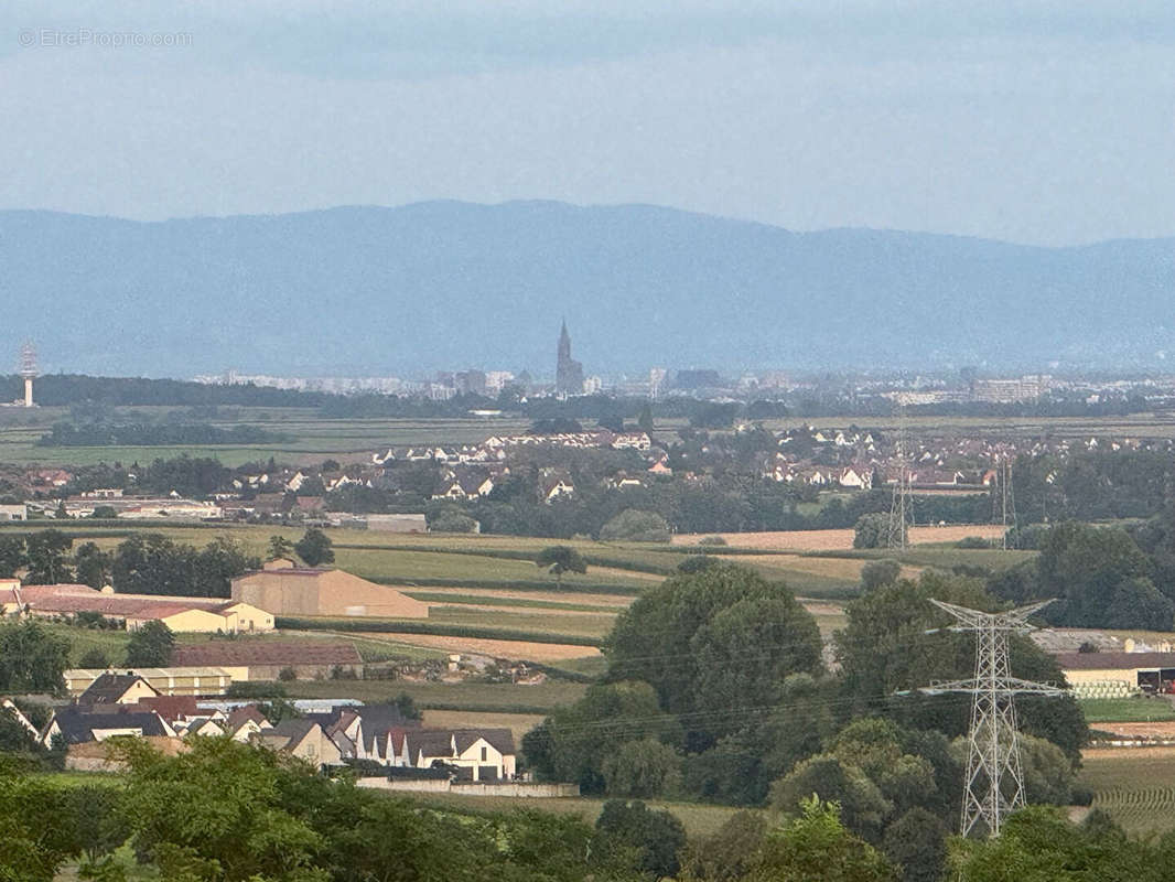 Terrain à DINGSHEIM