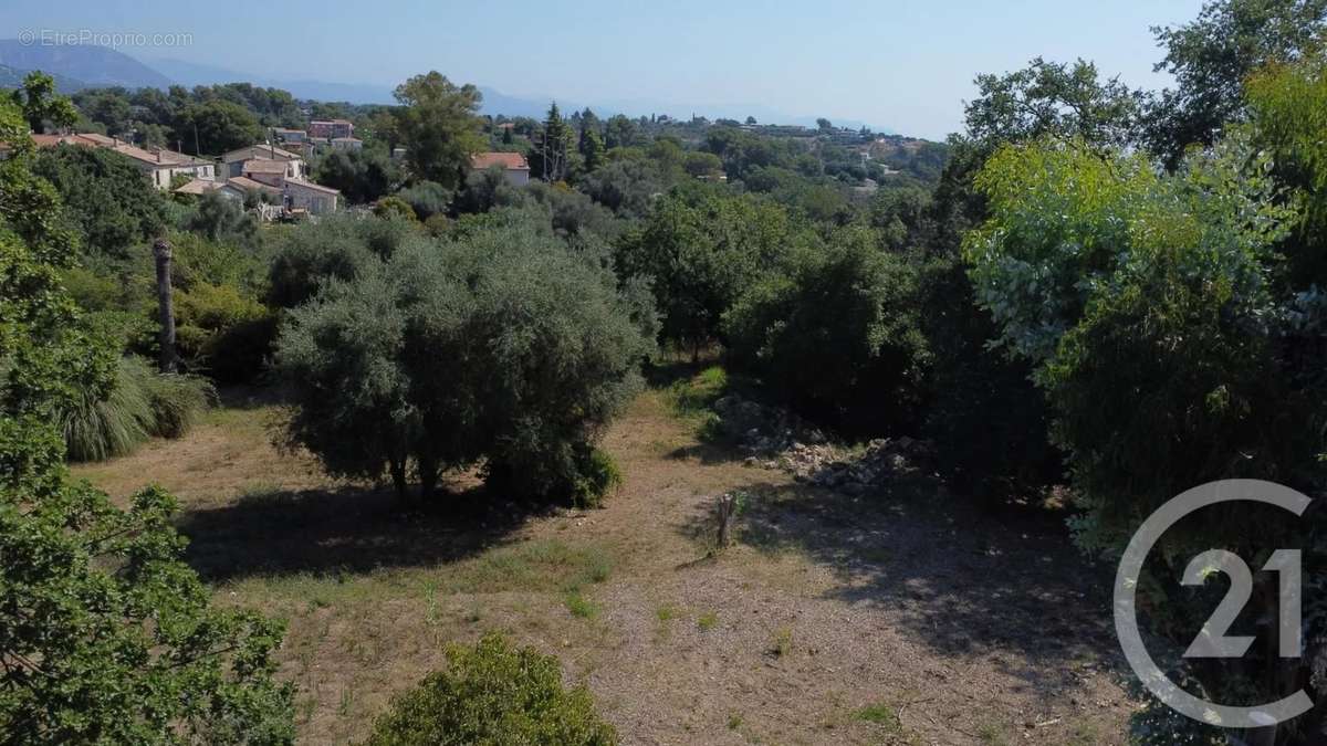 Terrain à ROQUEFORT-LES-PINS