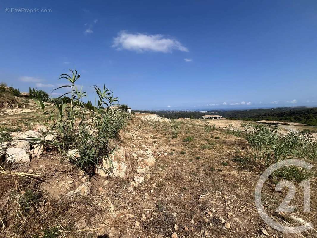 Terrain à ROQUEFORT-LES-PINS