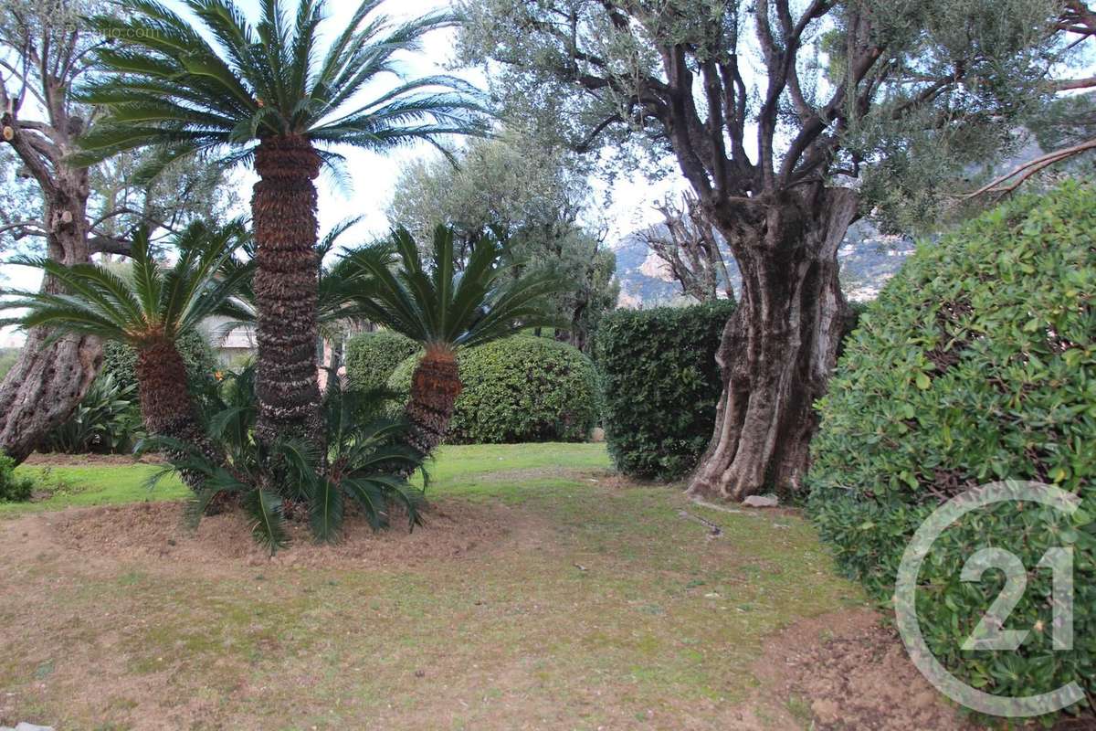 Appartement à ROQUEBRUNE-CAP-MARTIN