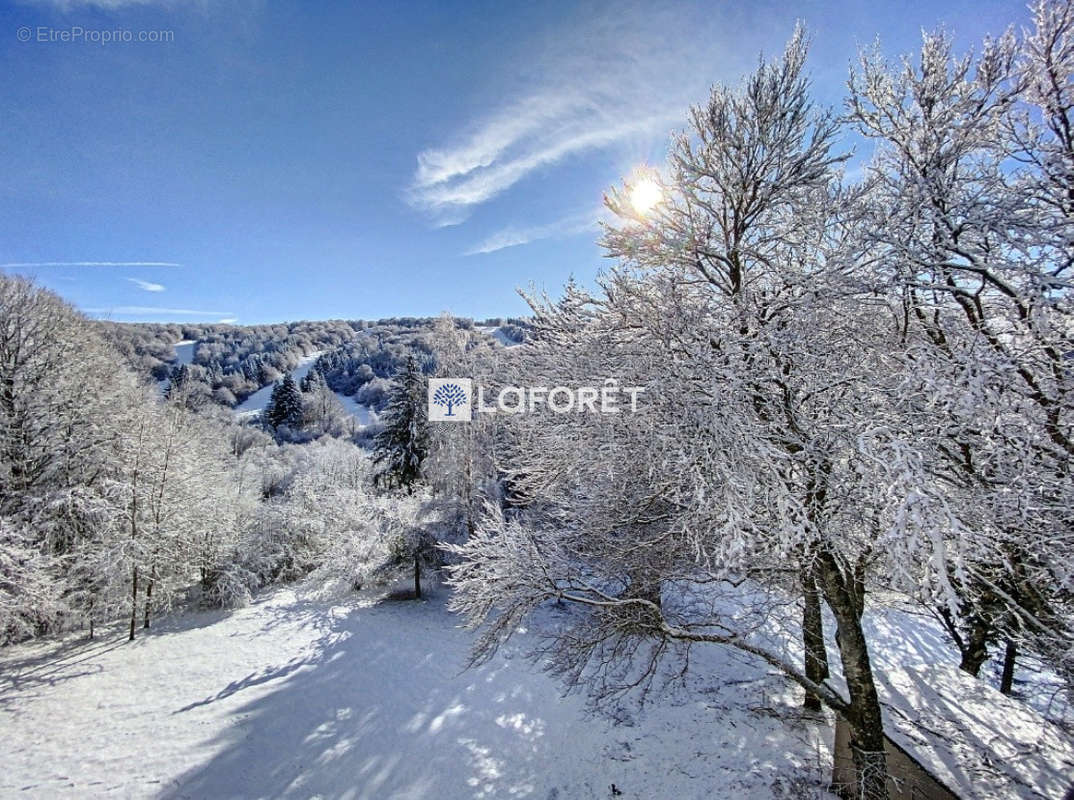 Appartement à LAGUIOLE