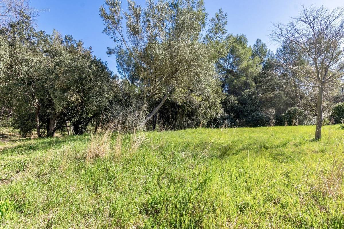 Terrain à MONTPELLIER