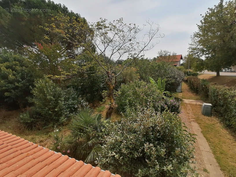 Maison à MOISSAC