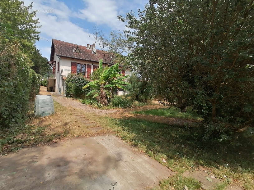 Maison à MOISSAC