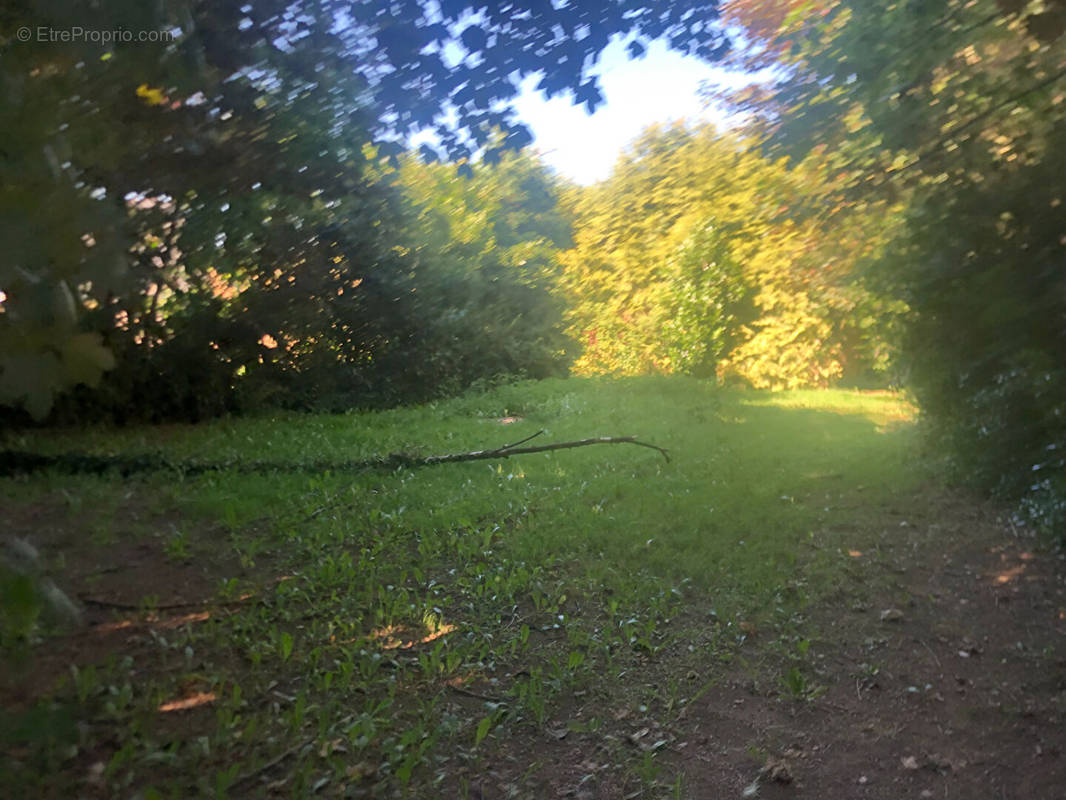 Terrain à COESMES