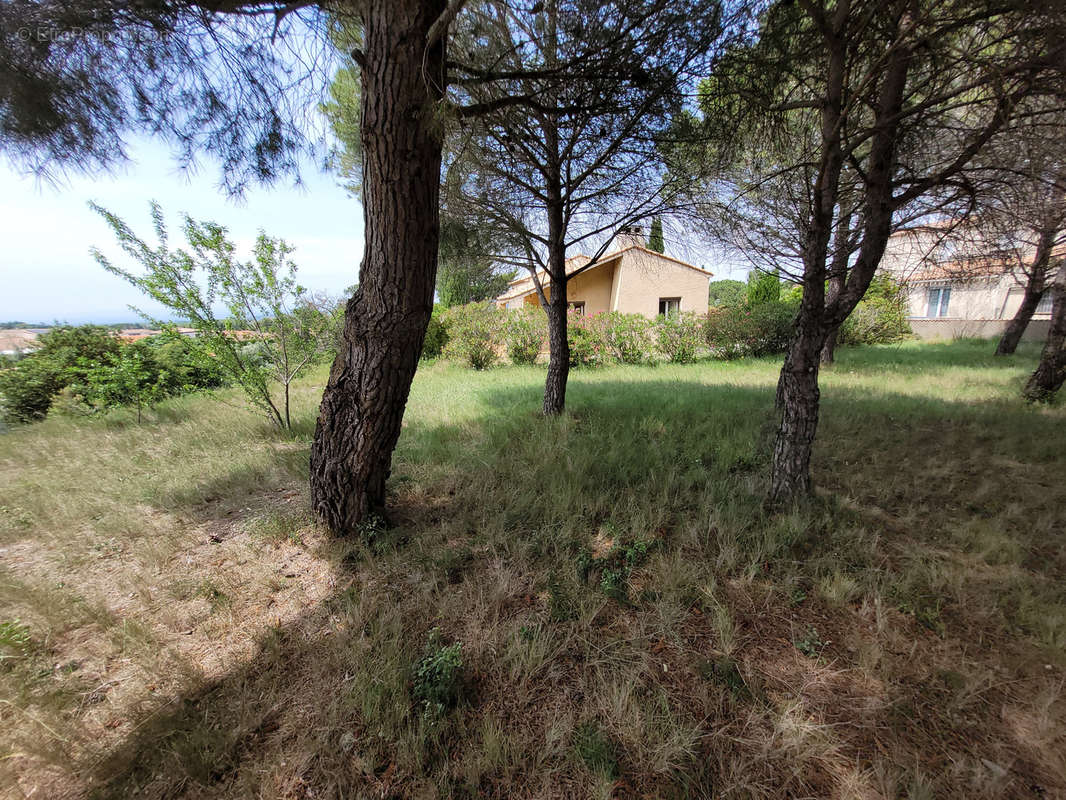 Maison à SALLES-D&#039;AUDE