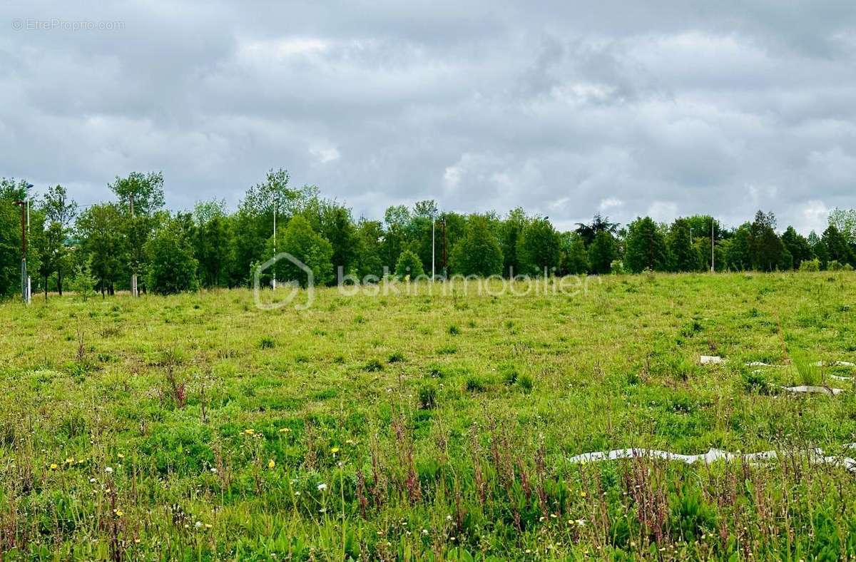 Terrain à LEGUEVIN