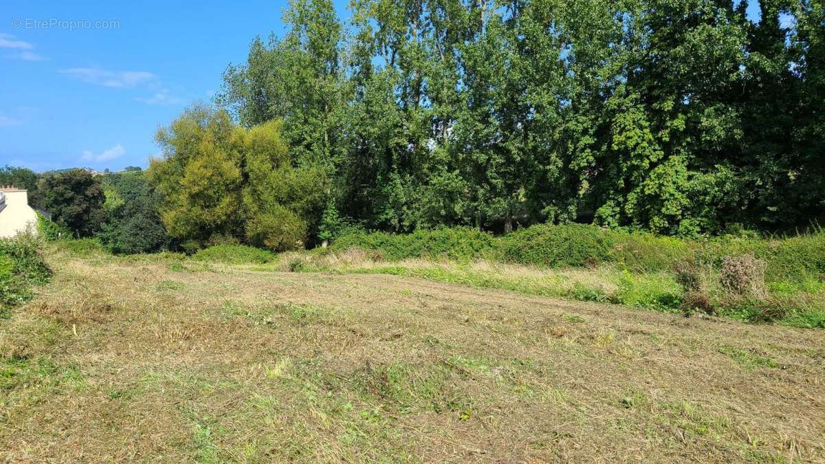 Terrain à SAINT-JEAN-DU-DOIGT