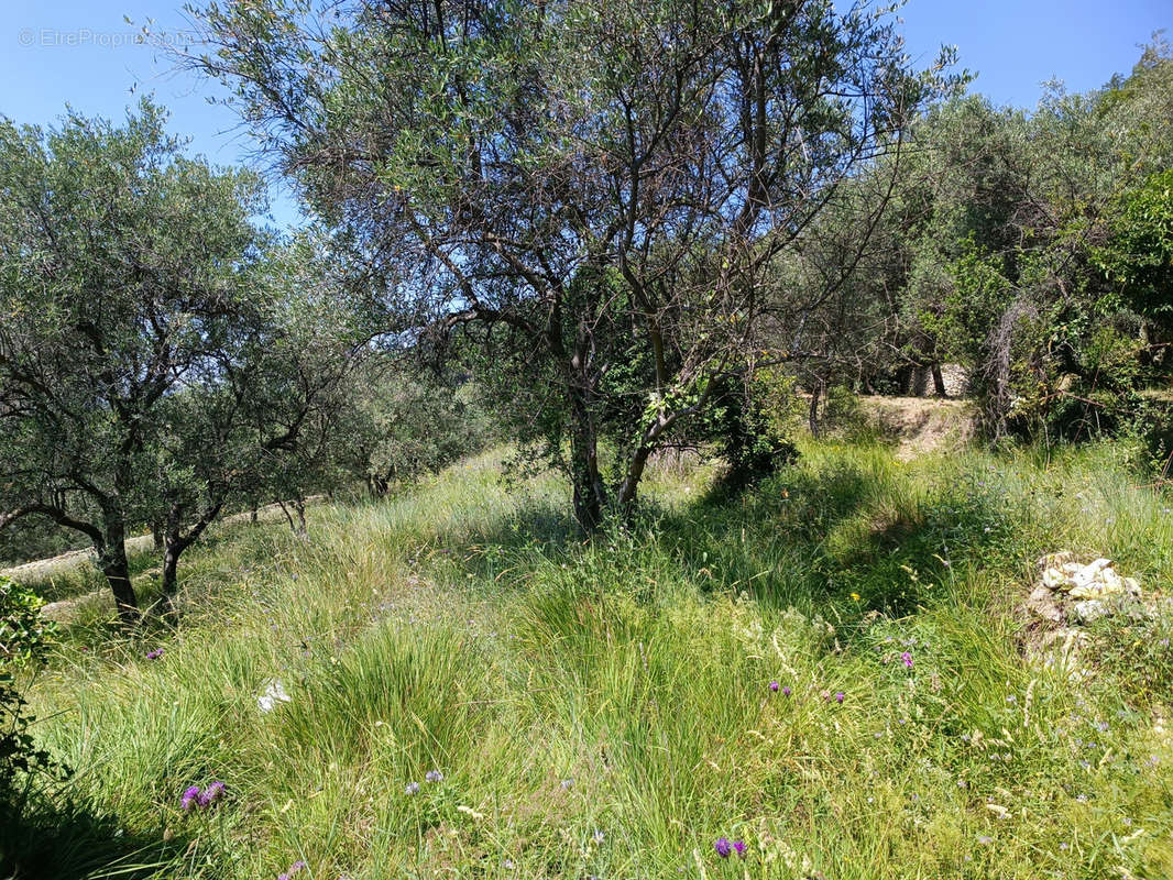 Terrain à L&#039;ESCARENE