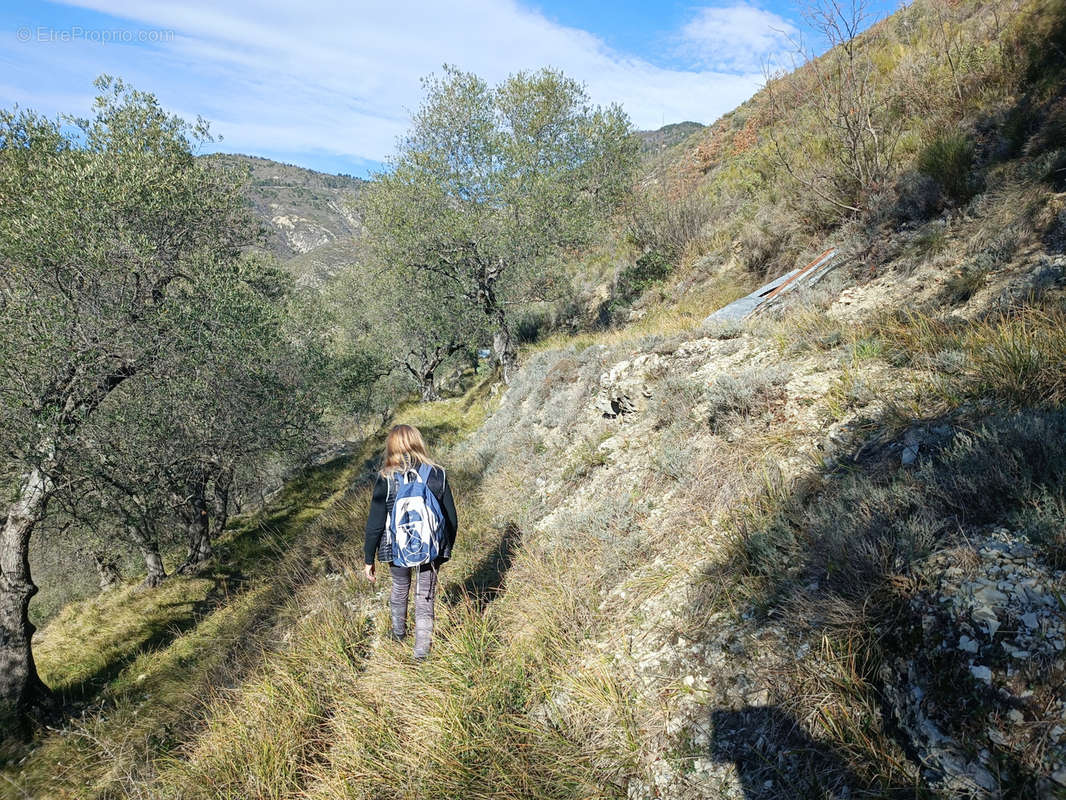 Terrain à LUCERAM