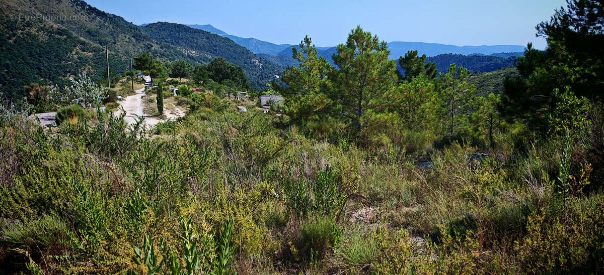 Terrain à LUCERAM