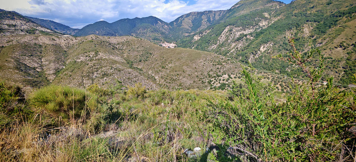 Terrain à LUCERAM