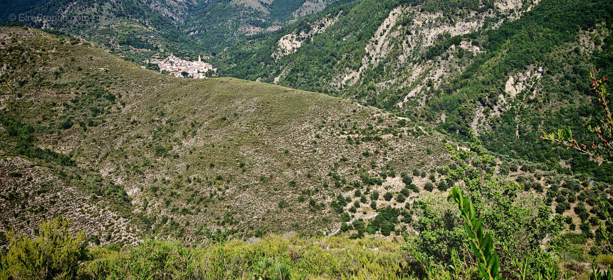 Terrain à LUCERAM