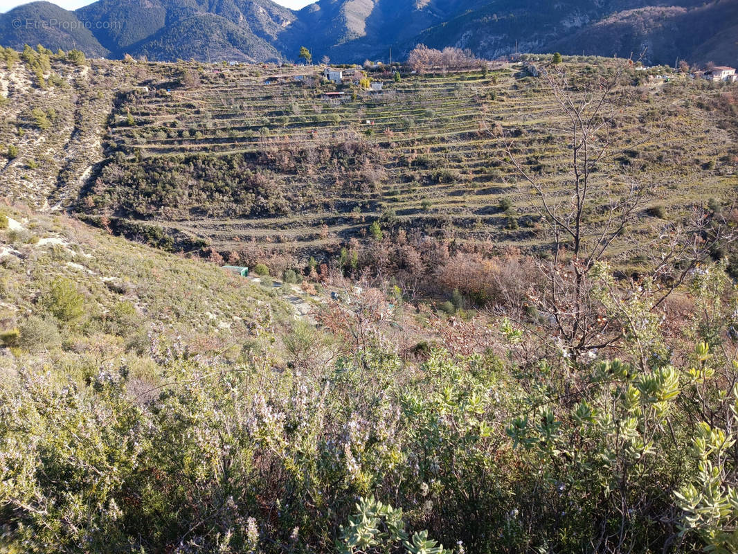 Terrain à LUCERAM