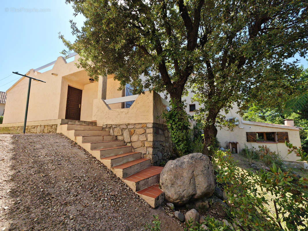 Maison à PORTO-VECCHIO