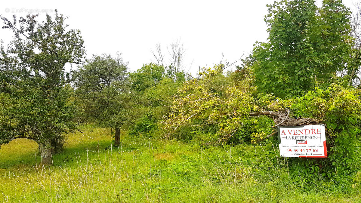 Terrain à SAINT-MARTIN-LA-GARENNE