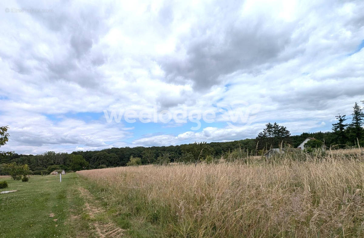 Terrain à CHAUMONT-SUR-LOIRE