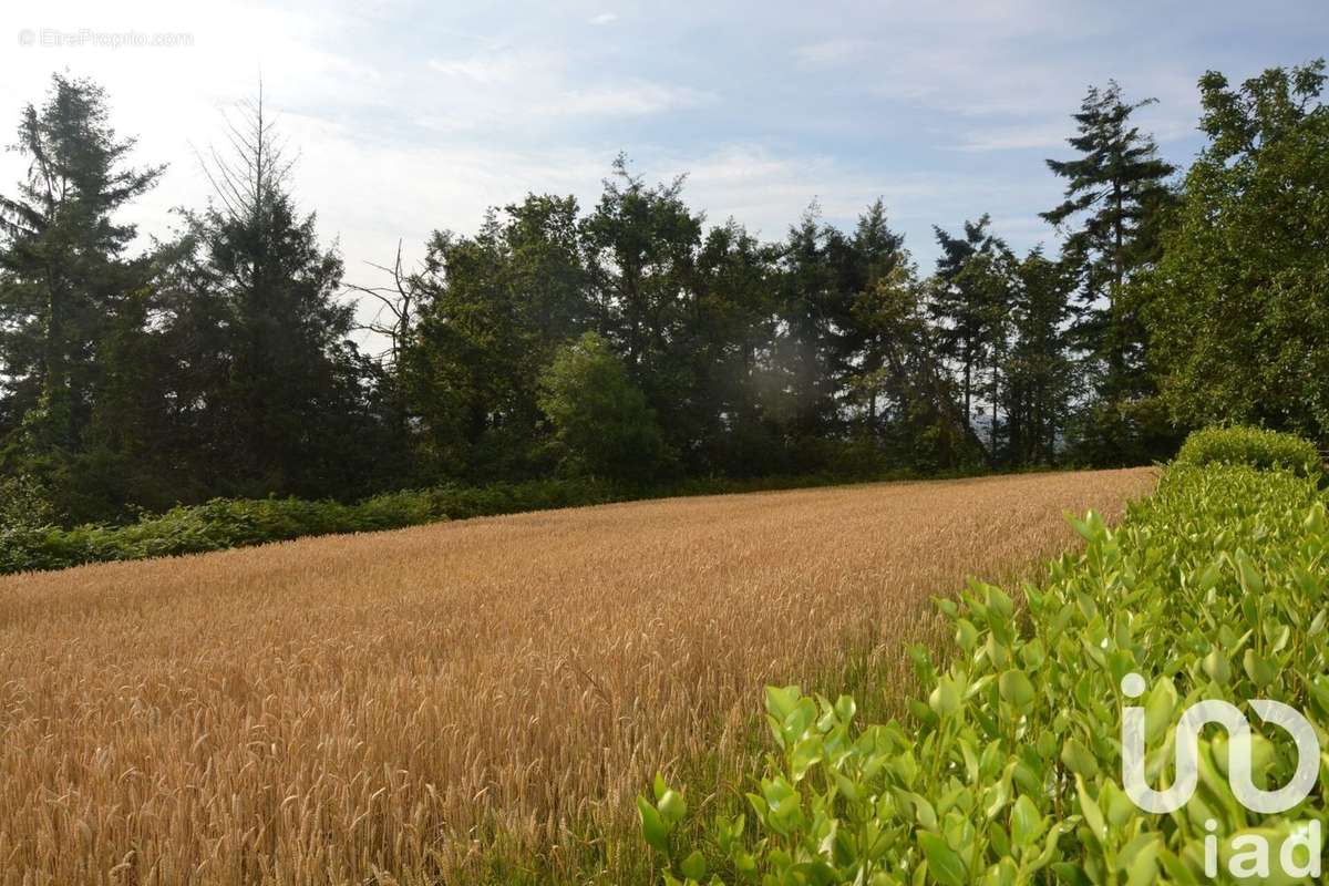 Photo 3 - Maison à CHATEAULIN