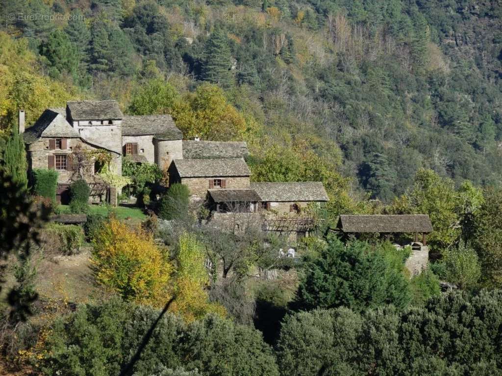 Maison à SAINT-GERMAIN-DE-CALBERTE