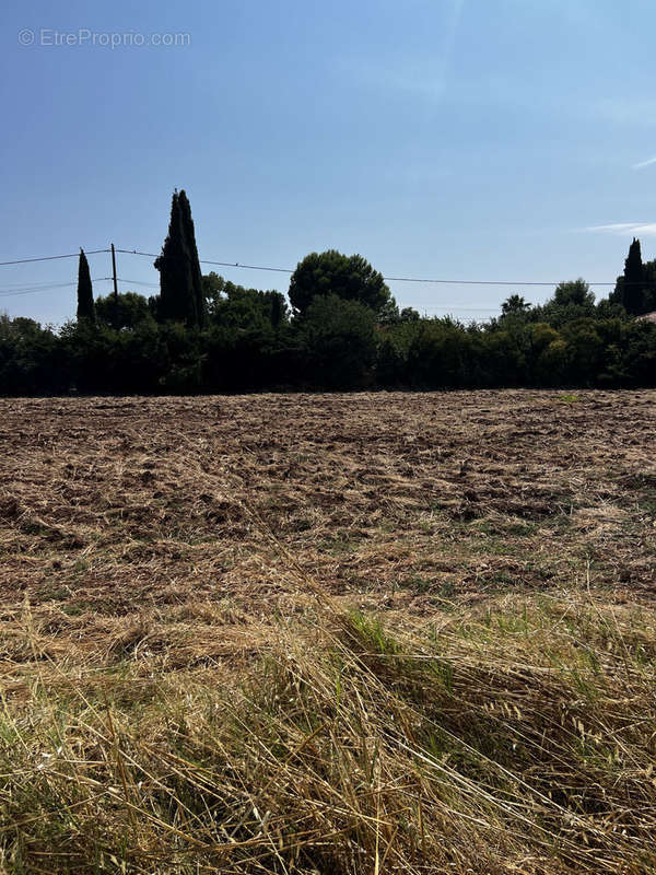 Terrain à CANET