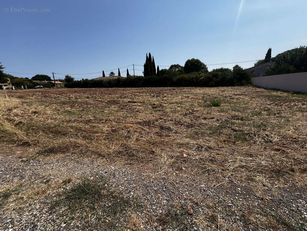 Terrain à CANET