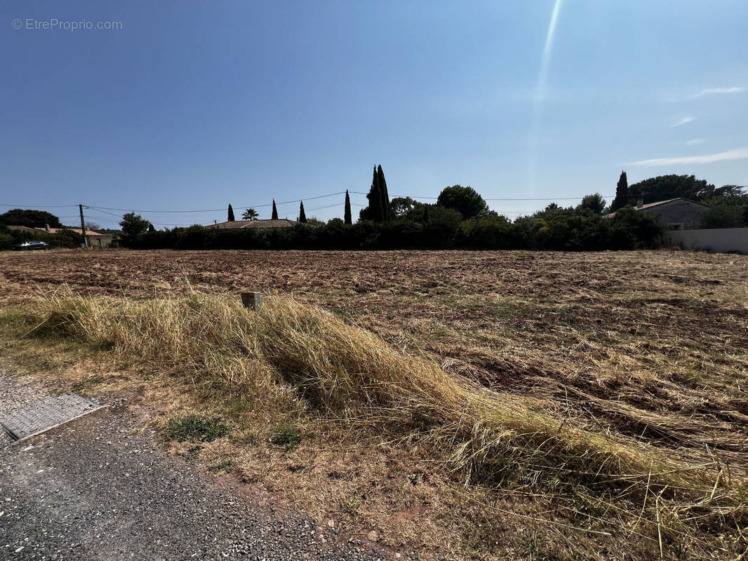 Terrain à CANET