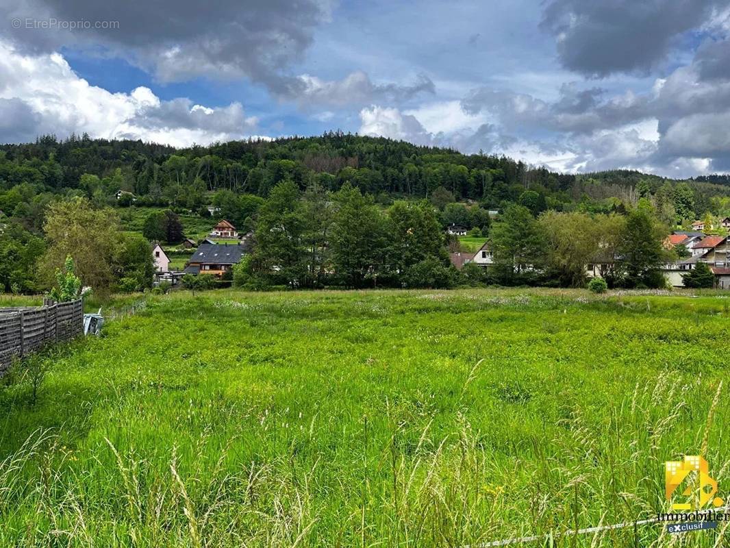 Terrain à COLROY-LA-ROCHE