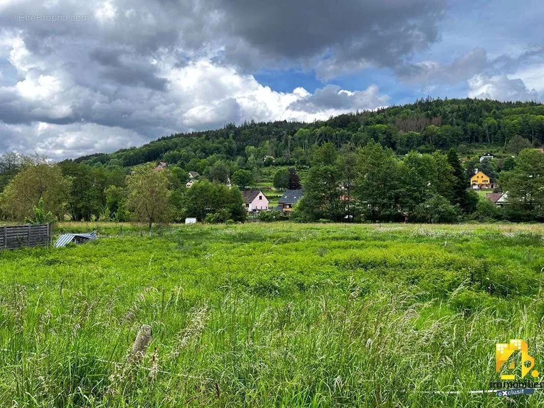 Terrain à COLROY-LA-ROCHE