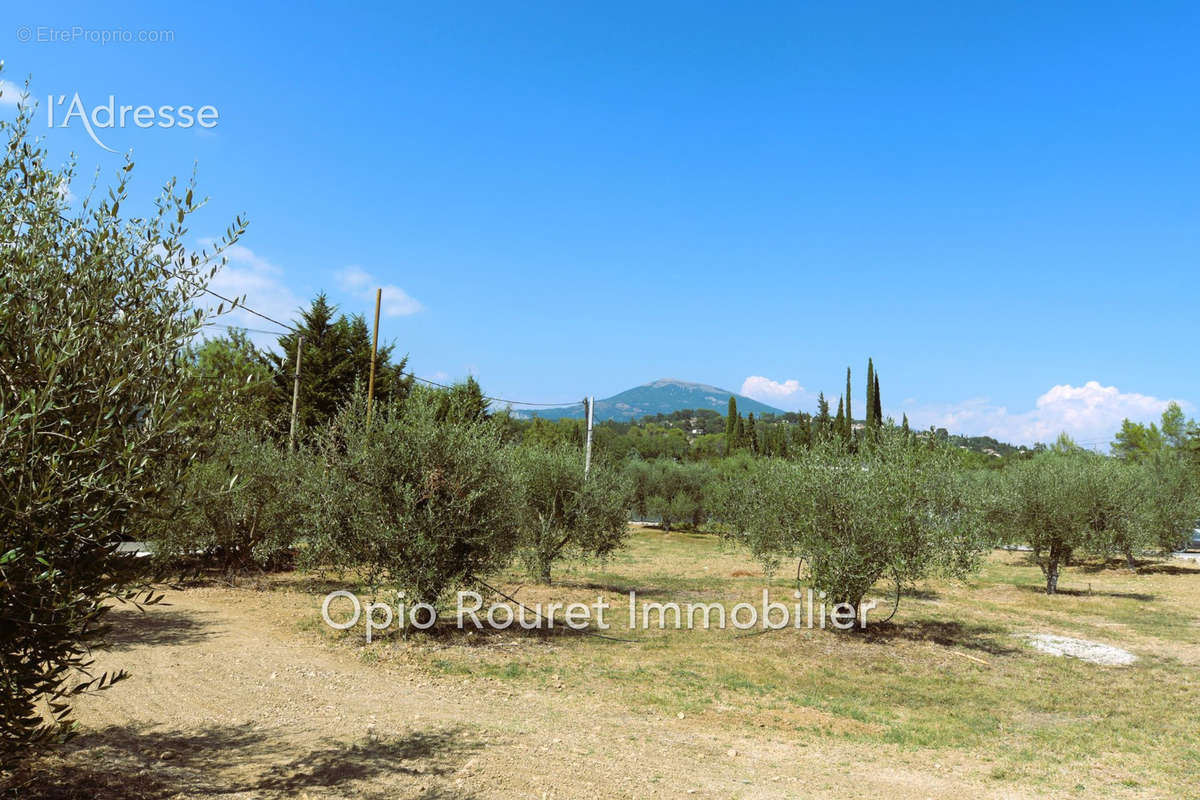 Terrain à CHATEAUNEUF-GRASSE