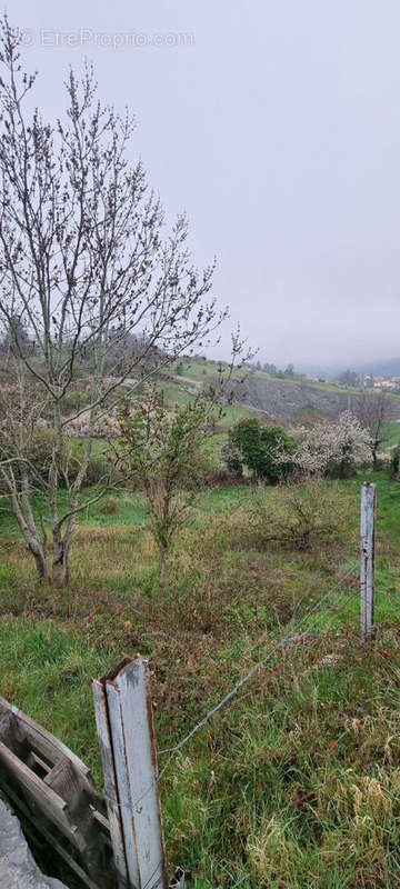 Terrain à ESPALY-SAINT-MARCEL