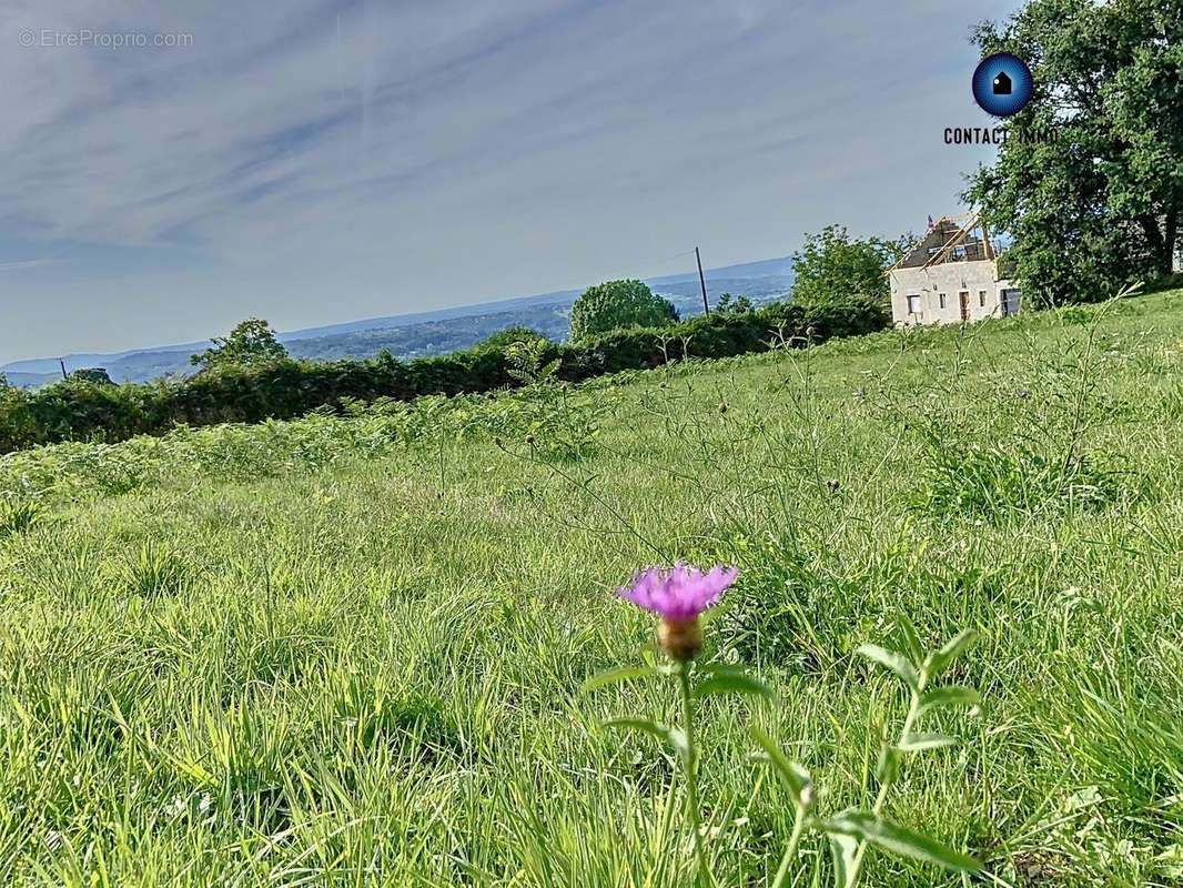 Terrain à DONZENAC