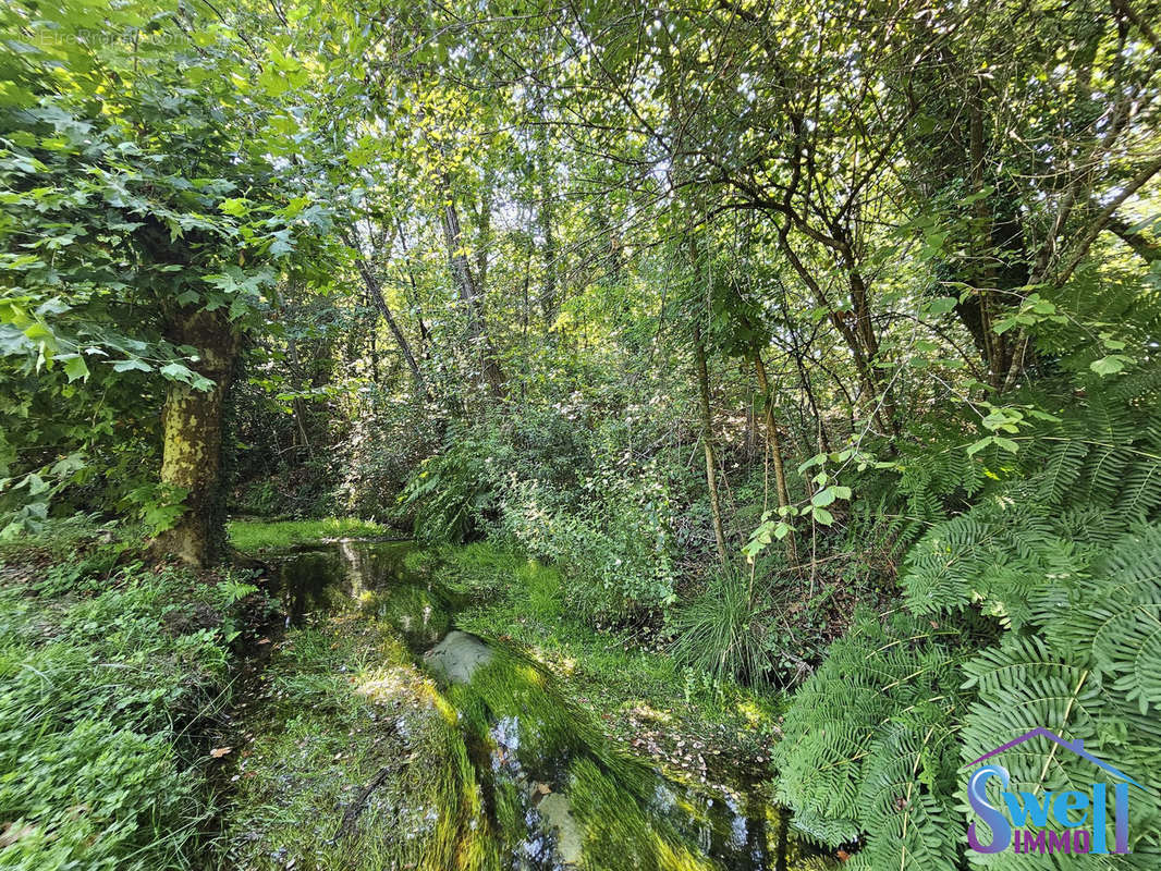 Terrain à HERM